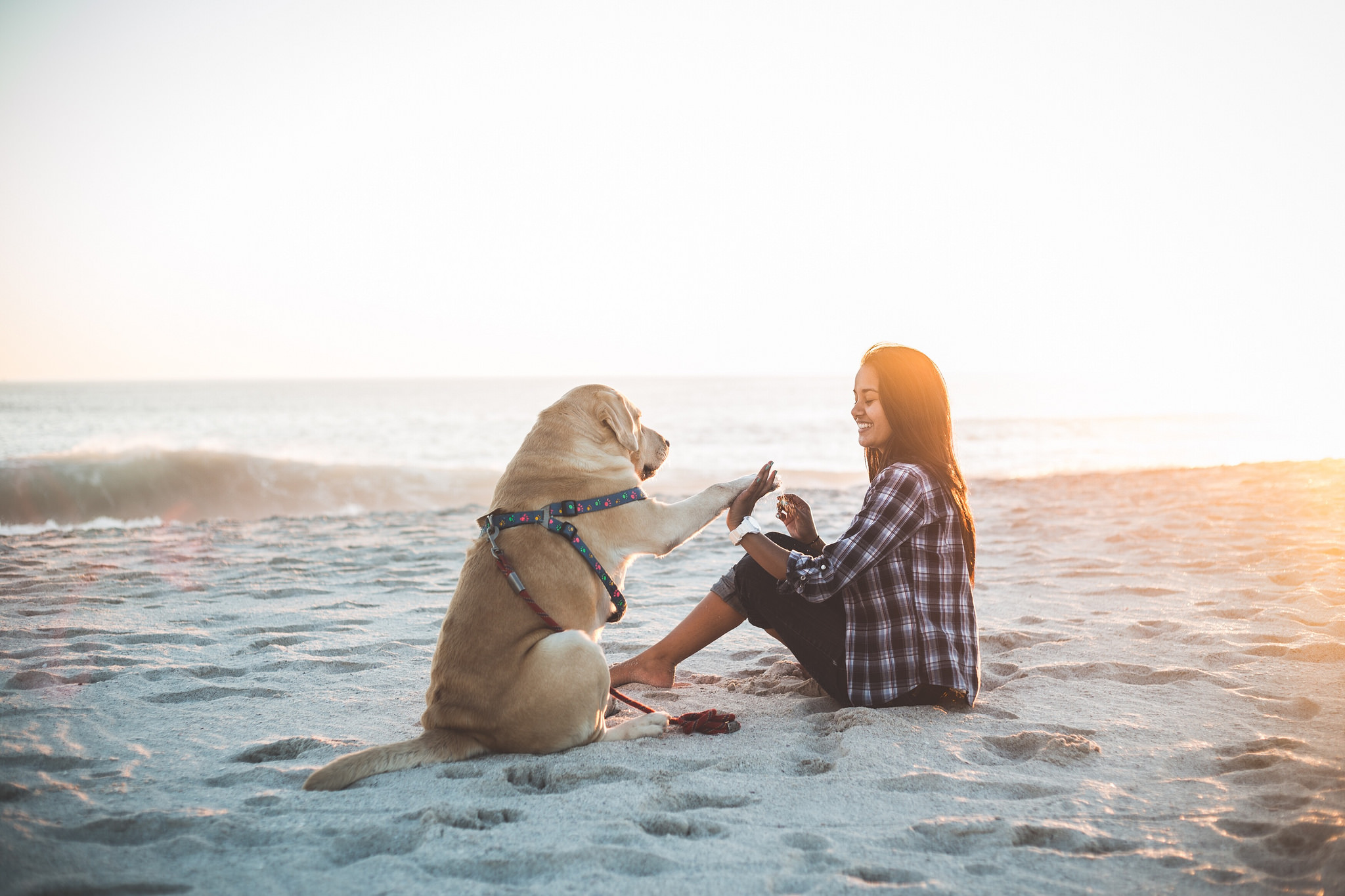 ../_images/beach.jpeg